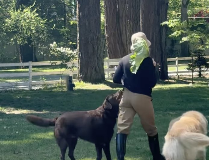 Pamela Anderson Loves Her Garden at Her Canada Home: Photos of Her Oasis