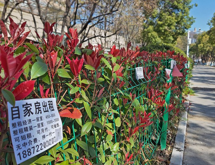 租房市场迎最强监管，备案制或终结房东“逃税时代”