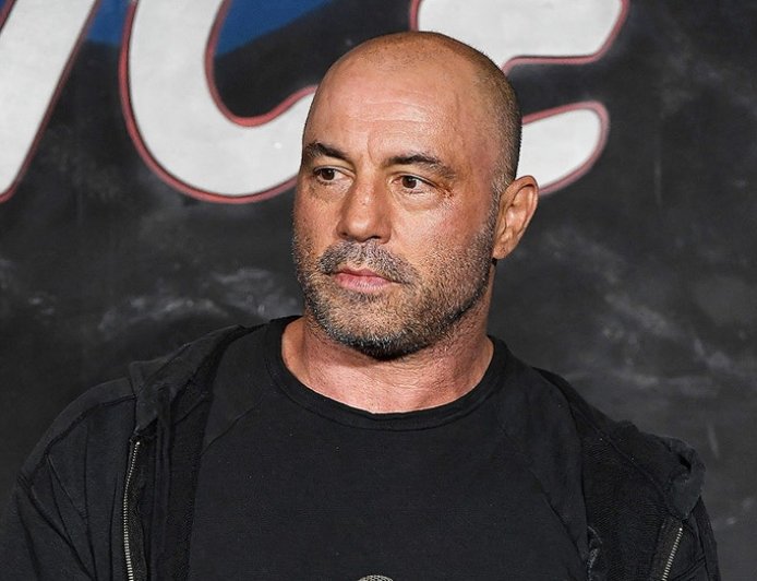 Rogan says voters are frustrated because they expected Trump's ICE raids to nab gang members, not landscapers