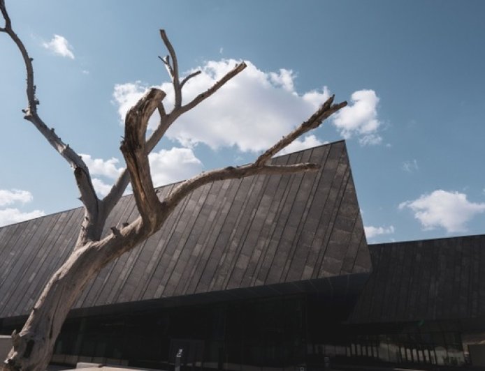 地方新闻精选 | 侵华日军第731部队细菌战新罪证史料公布 香格里拉首次拍到金钱豹影像