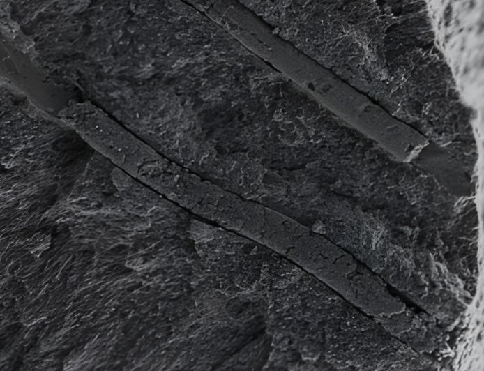 冷热酸甜随便吃：印度研发 400 纳米机器人，“钢铁防线”实现牙齿脱敏