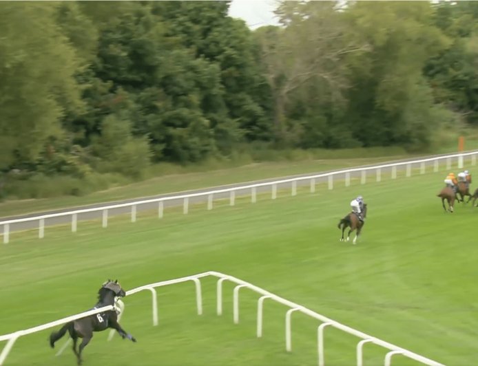 Blindfolded horse smashes barriers, five jockeys banned and race voided in Windsor chaos