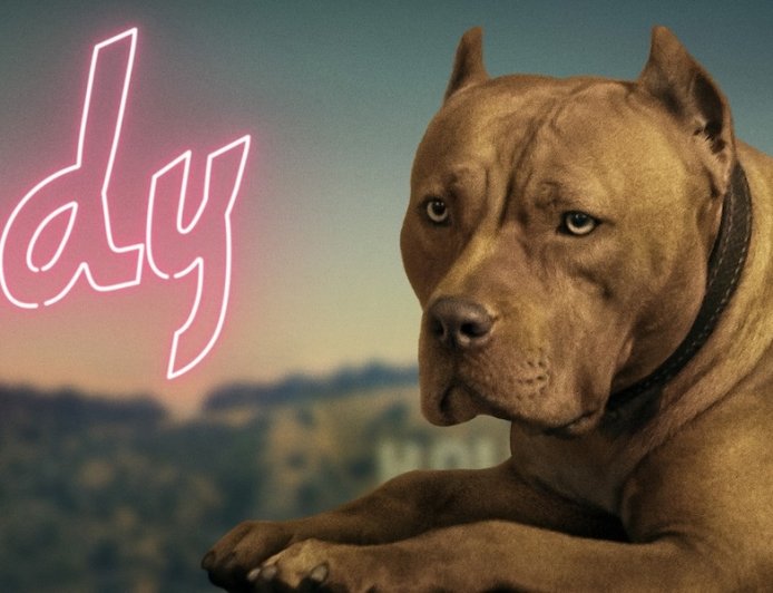 Austin Butler's 'Once Upon a Time in Hollywood' Pitbull Fight Left Him Hurt