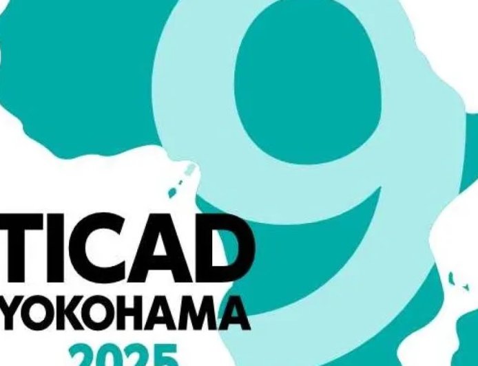 日本寻求在横滨峰会上重振“非洲发展会议”的势头