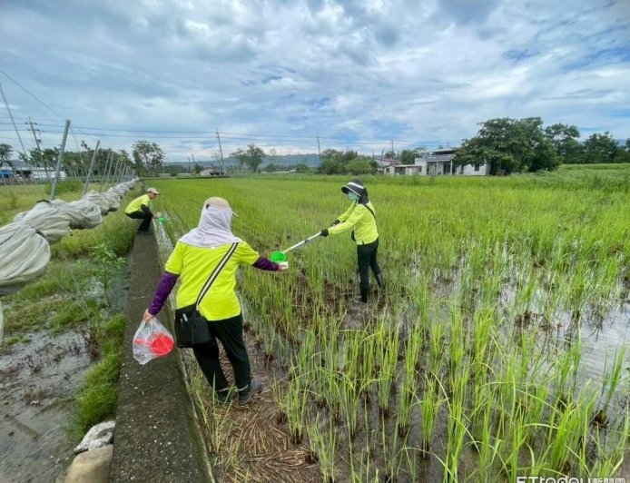 高雄爆今年首例本土日本腦炎 男昏迷住院...足跡接觸史曝光