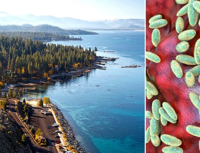 California resident contracts plague, likely from infected flea bite during Lake Tahoe camping trip: officials