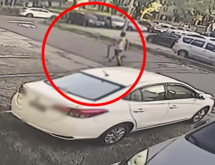 分4波開槍狙殺遛狗男！殺手最後再朝頭補1槍　2隻惡霸犬急衝回家