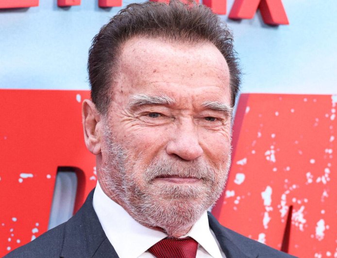 Arnold Schwarzenegger's Son Looks Unrecognizable After 250-Pound Weight Loss