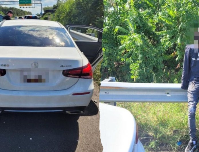 CBP agents foil carjacking suspect in Washington DC as Trump makes city 'safe and beautiful'