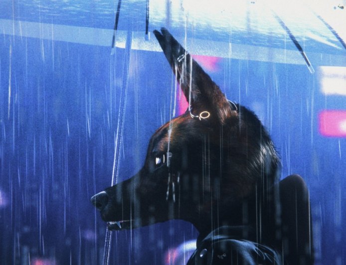 Toronto-Bound Animated Feature ‘Bouchra’ Picked Up by Lucky Number as First Clip Debuts (EXCLUSIVE)