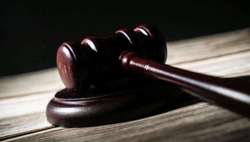 地方新闻精选 | 大连涉107亿元非法集资案宣判 中华白海豚误入珠江内河被救助