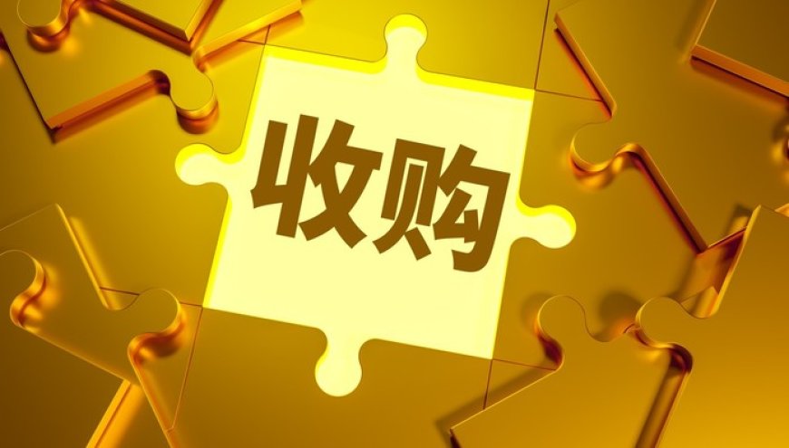 刘强东斥资185亿,想在欧洲“再造一个京东”