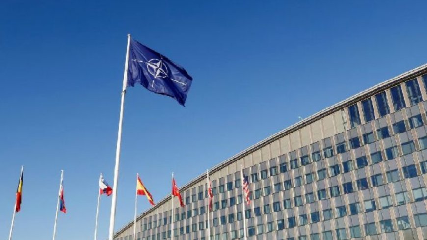 美国和北约酝酿新机制,协调向乌提供美制武器