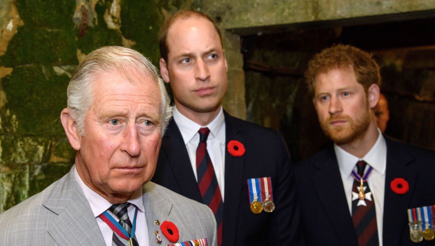 Prince Harry's Prince William Feud Is 'Different Beast' Than Rift With Dad