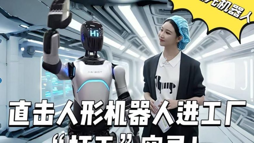 人形机器人进工厂“打工”实录|对话智元机器人