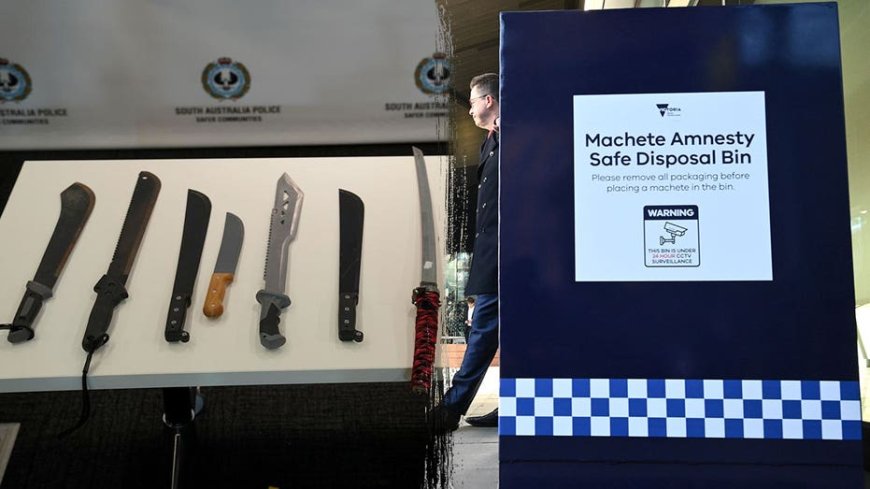 Australian state rolls out machete ‘disposal bins’ ahead of ban