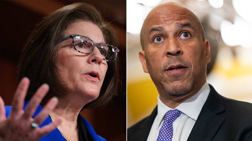 Democratic senator defends working with Trump after Booker's 'complicity' accusation