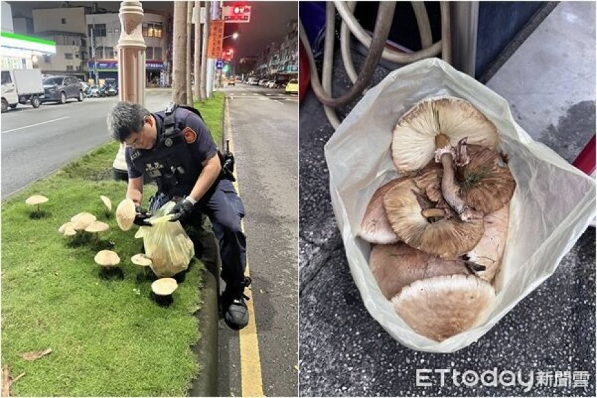 豪雨後奇景！「安全島拔香菇」基層警炸鍋　高雄市府說話了
