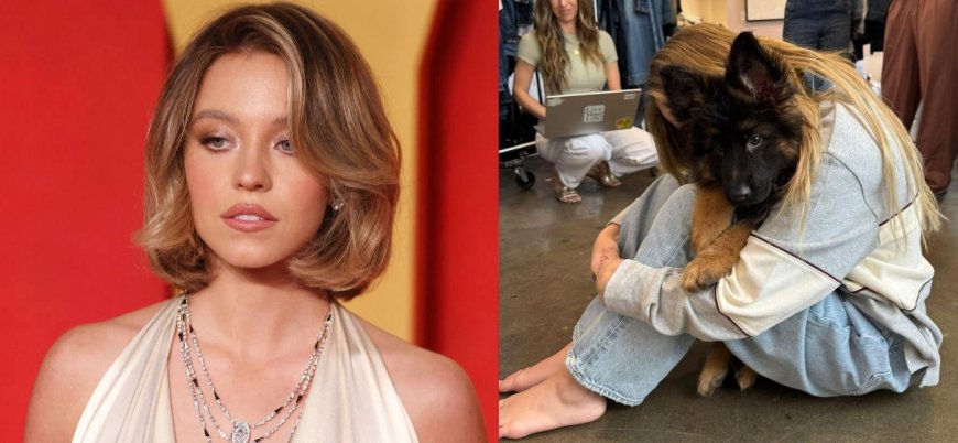 Trolls Now Target Sydney Sweeney's German Shepherd Branding It 'Nazi Pet' In Bizarre Backlash Over Jeans Ad