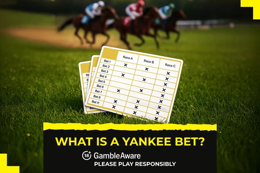 What is a Yankee bet?