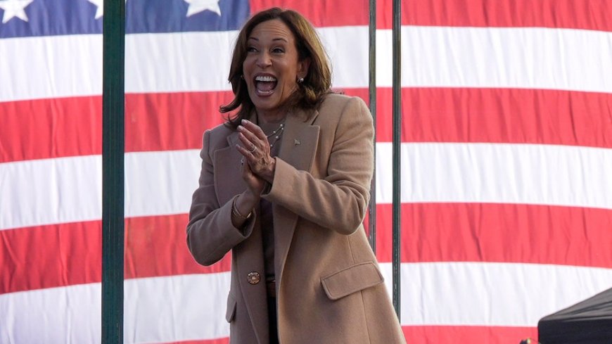 Carville claims Democrats don't want to associate with anyone from failed 2024 Harris campaign in 2028