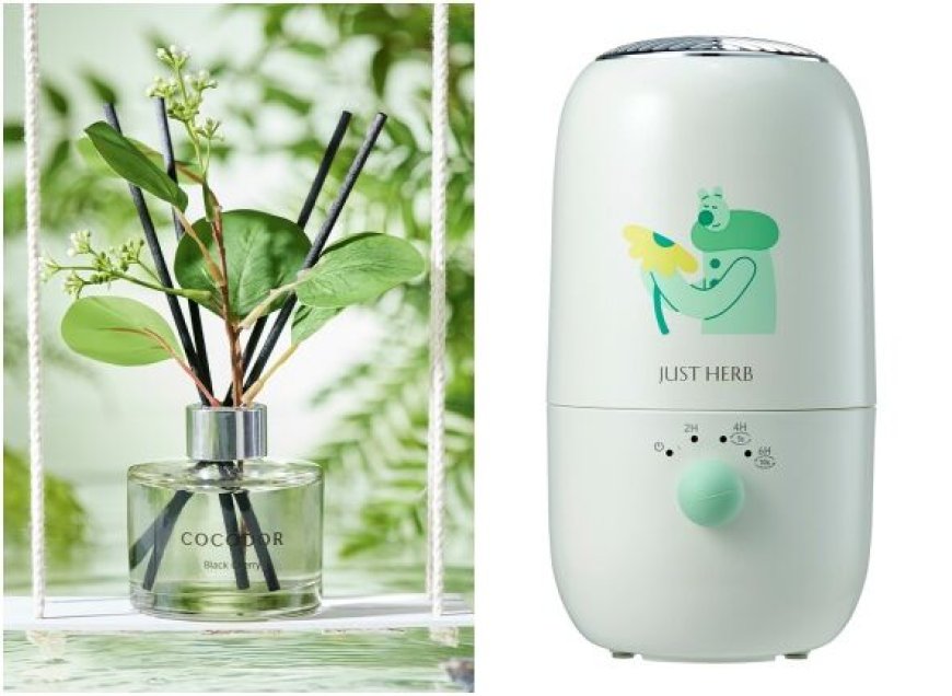 COCODOR森林擴香瓶綠葉美翻　香草集「無限水氧機」攜帶好方便