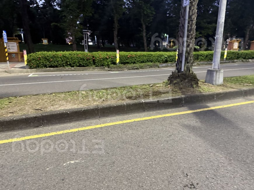 獨／高雄凌晨死亡車禍　騎士詭異自摔不治