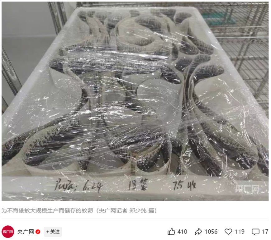 以蚊治蚊：广州释放“绝育雄蚊”对抗基孔肯雅热，周产 500 万只