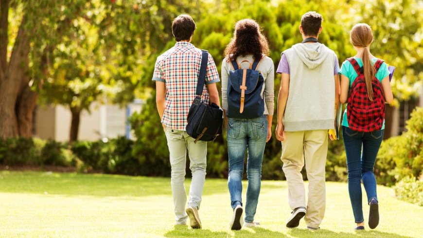 Trump visa policies force colleges to scramble as international students vanish: report