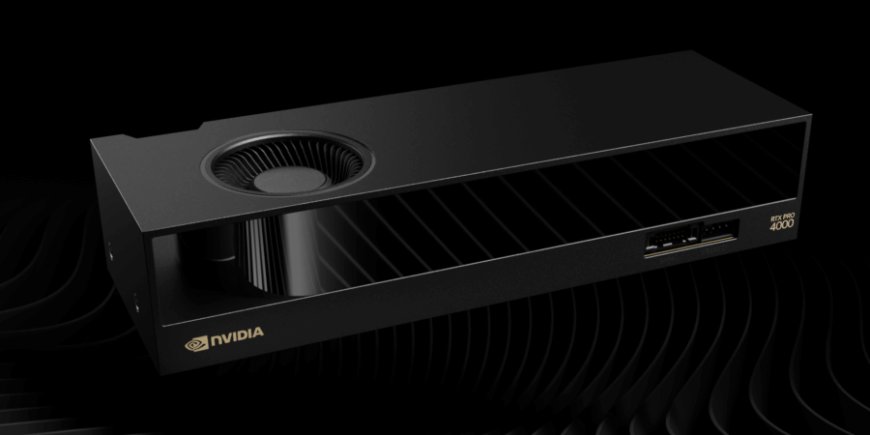 英伟达补充两款双槽半高 RTX PRO Blackwell 专业显卡,为 4000 SFF 和 2000