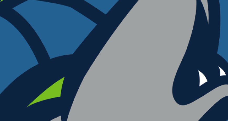Mahmoud Abdelfattah Hired By Wolves As G League Head Coach