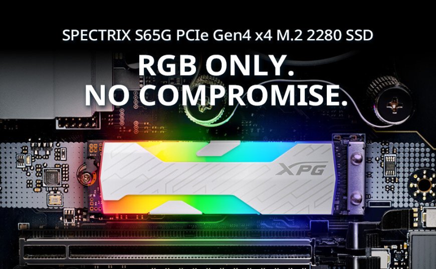 最快 RGB 游戏 SSD 登场:威刚 XPG S65G 最高读取 6000 MB/s、写入 5000 MB/s,2000GB 容量