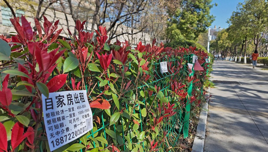 租房市场迎最强监管,备案制或终结房东“逃税时代”