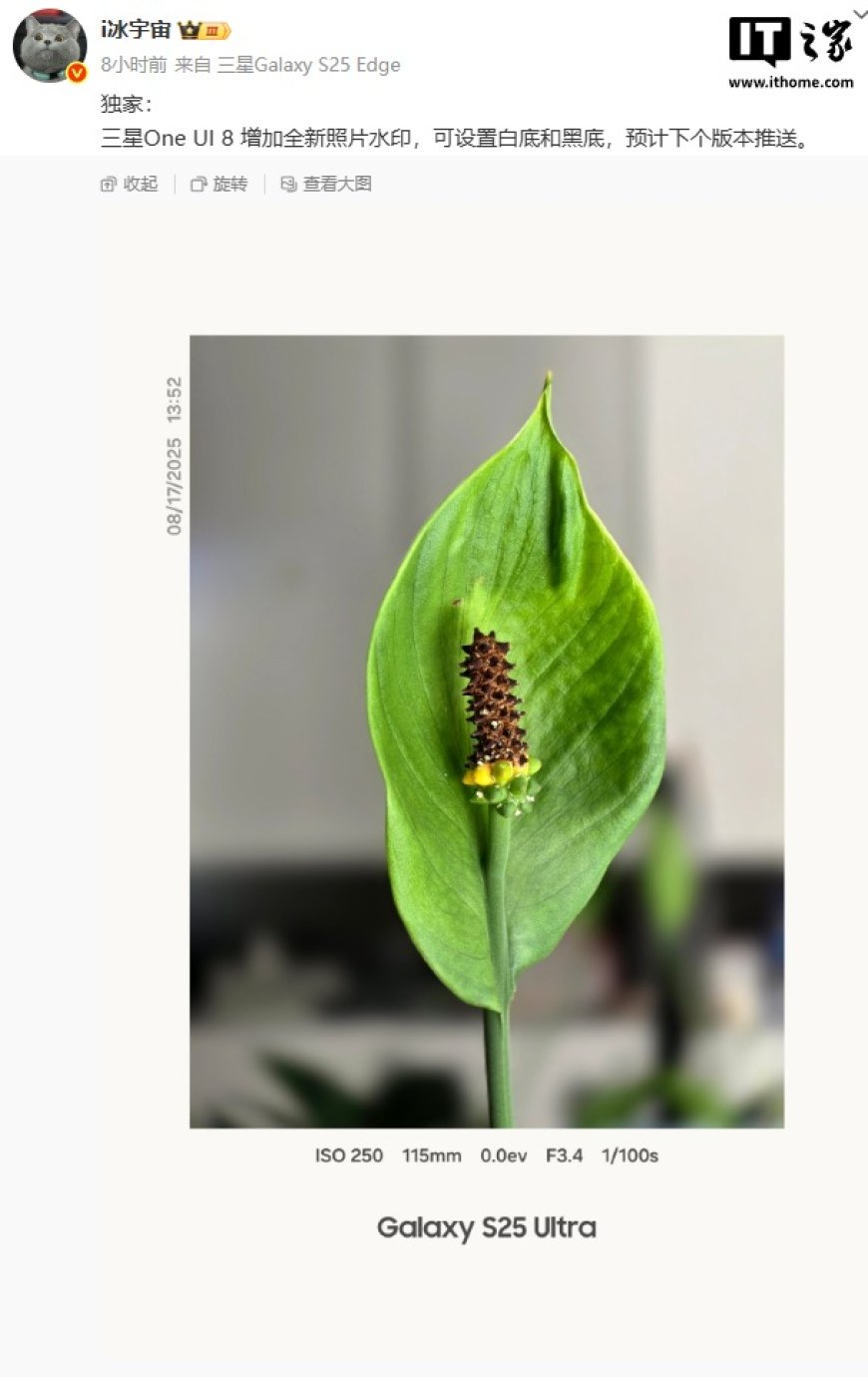 消息称三星 One UI 8 增加全新照片水印:可设置白 / 黑底,预计下版本推送