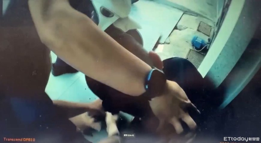 連女警都被打！新竹黑幫掌摑女店員　現場壓制畫面曝