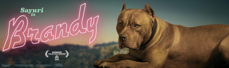 Austin Butler's 'Once Upon a Time in Hollywood' Pitbull Fight Left Him Hurt