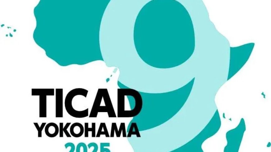 日本寻求在横滨峰会上重振“非洲发展会议”的势头