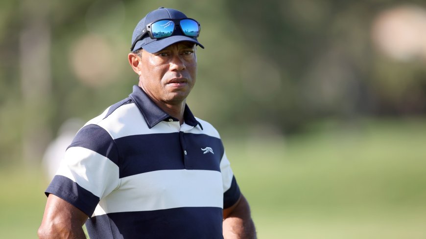 Tiger Woods gets new job alongside six PGA Tour stars which could bring major change to season