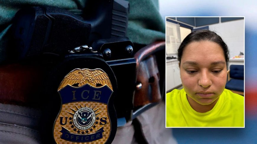ICE arrests illegal immigrant after failed sanctuary attempt at Colorado probation office