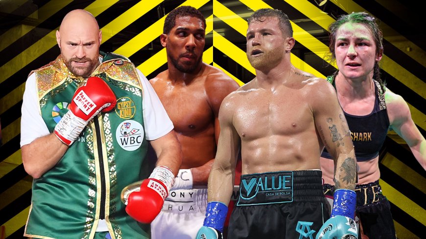 Boxing schedule 2025: All major fights, dates and results including Canelo Alvarez vs Terence Crawford and Jake Paul vs Gervonta Davis
