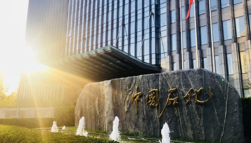 四大板块收益均下滑,中国石化上半年净利下跌近四成
