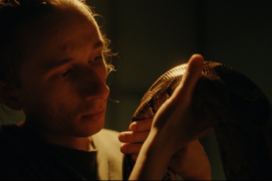 Queer Romance ‘Places Half Empty’ Explores Love and Belonging in Viktor Orbán’s Hungary, With Béla Tarr as E.P.