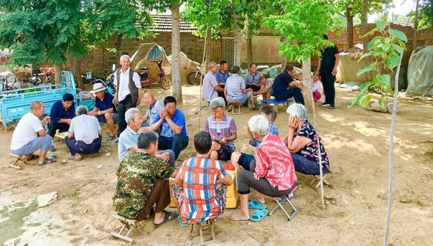 山东通报审计工作报告：两市向505名死亡人员发放养老保险