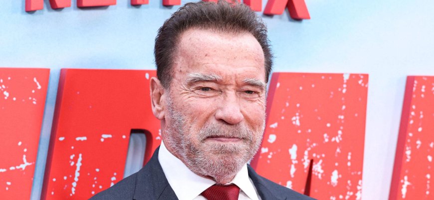 Arnold Schwarzenegger's Son Looks Unrecognizable After 250-Pound Weight Loss