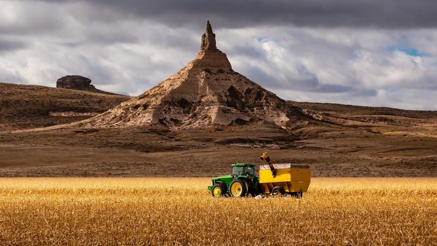Agriculture is the answer to America’s junk food crisis