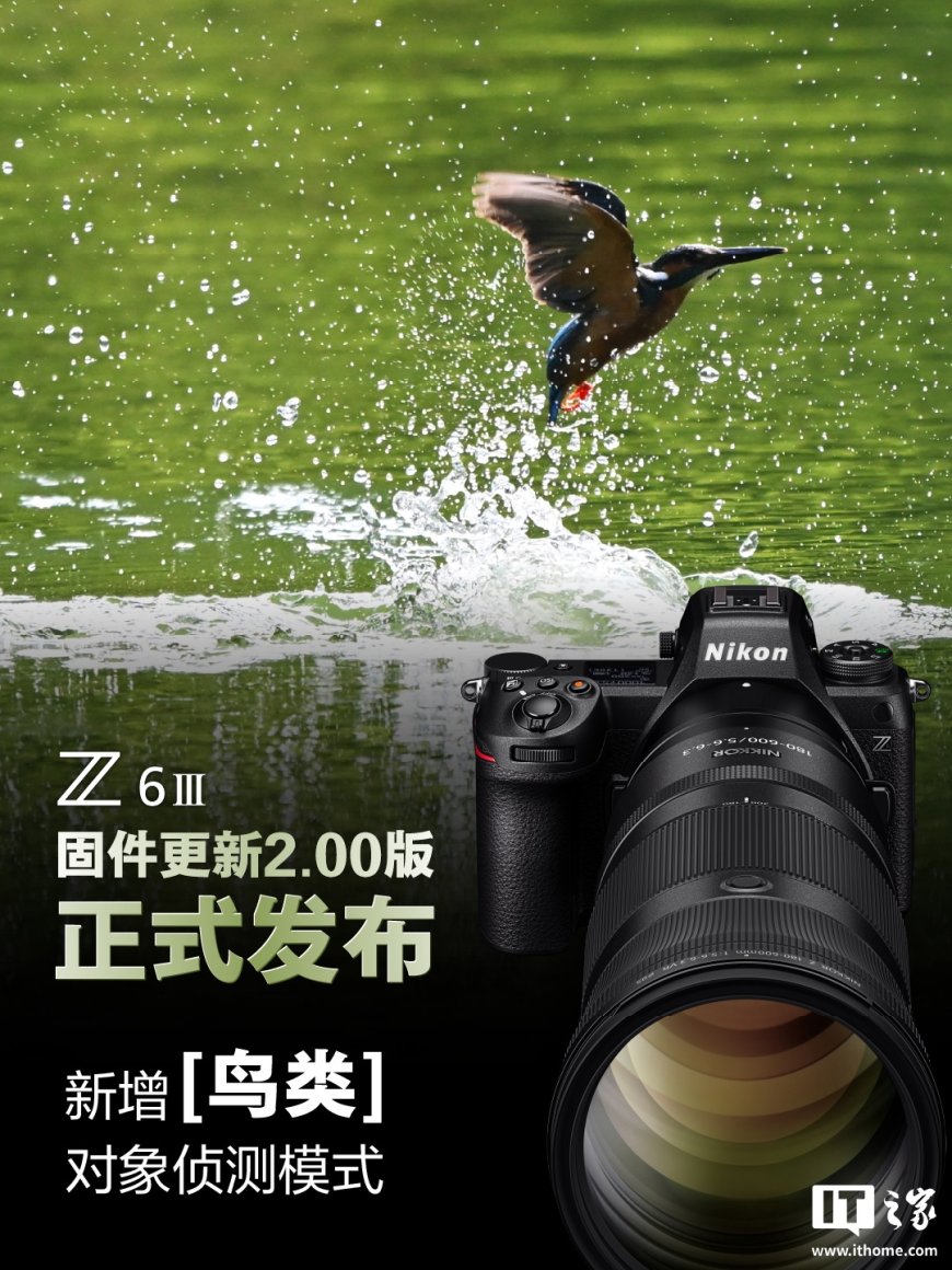 尼康发布 Z6Ⅲ 相机固件更新 2.00 版,新增鸟类识别、自动拍摄等