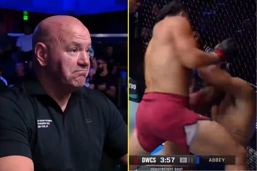 Dana White offers 5ft 8in heavyweight UFC contract after brutal 64-second KO over towering foe