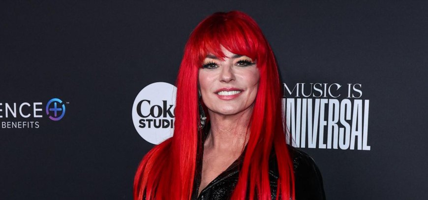 Shania Twain Shocks Fans With Her 'Ageless' Look As She Celebrates Turning 60 With A Racy Snap