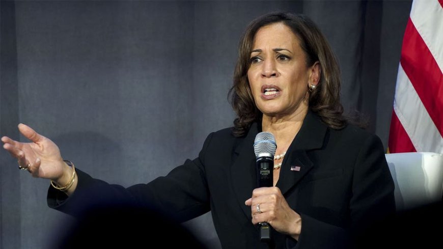 Democrats need to grasp new media or they will lose 2026, warns progressive podcast host