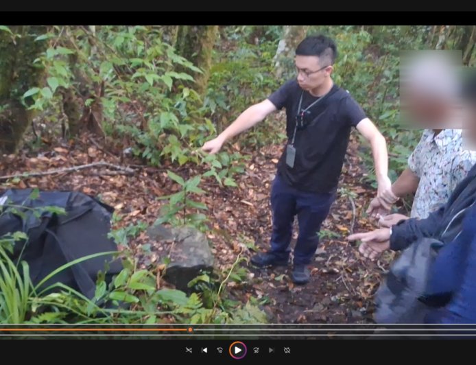 警攔錯車2山老鼠溜了！保七2天後四稜溫泉逮人　珍貴肖楠藏溪邊